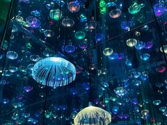 -星空失恋博物馆(北京路旗舰店)