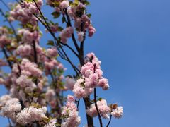 -观澜湖生态运动公社