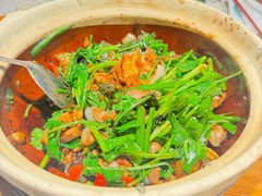-大鸽饭(动物园店)