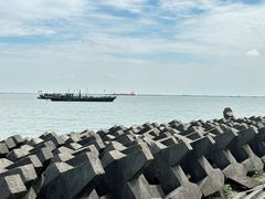 -上海滨江森林公园