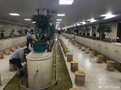 -西宁市东关清真大寺