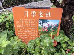 -人民公园(罗湖区)