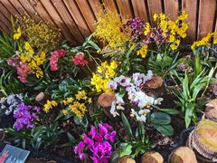 -国家植物园南园