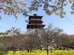 -古柏渡飞黄旅游区