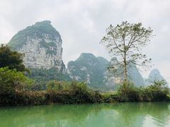 -明仕田园