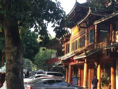-甘家界柠檬鸭店(高峰林场店)