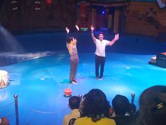 -烟台海昌鲸鲨海洋公园