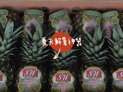 -东方鼎信农副产品交易中心