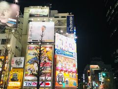 -秋叶原电器街