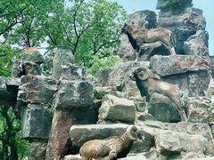 -野生动物园-停车场