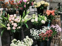 -之悦咖啡馆(新星宇·之洲店)