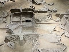 -洛阳周王城天子驾六博物馆