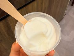 -洪馨椰子