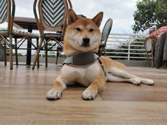 -华凌山庄·隐湖栖