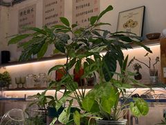 -绿小院(荔湾店)