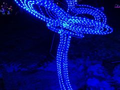 -长春公园(普阳街道)