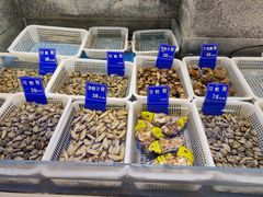 -赶海部落海鲜城(海阳路店)