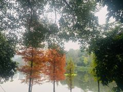 -重庆彩云湖湿地公园