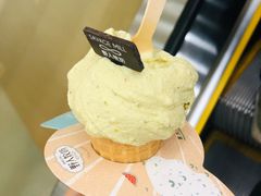 -野人先生现做冰淇淋(西安赛格店)