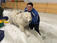 -绍兴启迪乔波冰雪世界