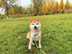 -瀛海足球主题公园