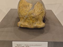 -北京周口店北京人遗址博物馆