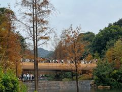 -云溪植物园