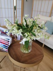 -盼兮·日式美睫沙龙