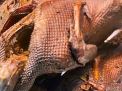 -张鸭子重庆特产卤味小吃(未来国际店)