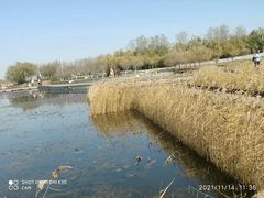 -天津东丽湖风景区