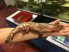 -ZF Seafood Restaurant 卓峰海鲜餐