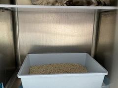 -宠颐生动物医院·小陆分院