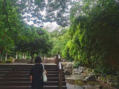 -翠屏公园