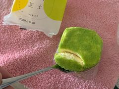-蒲公英(五里店)