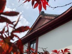 -四川大学(望江校区)