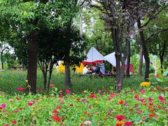-上海山野camping·户外天幕烧烤·团建拓展营地