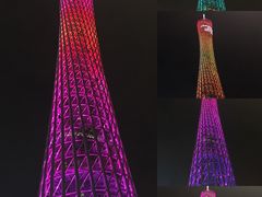 -百万葵园