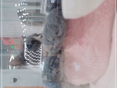 -COLOR PETS 撸猫馆·购猫·猫咖(长风大悦城店)