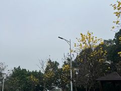 -火炉山森林公园
