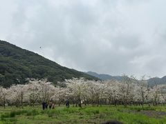 -小椋(富安商业广场店)