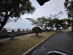 -江心屿景区