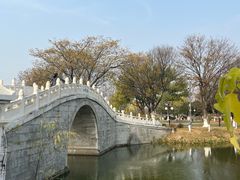 -月湖风景区