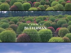 -花开海上生态园