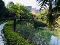 -咸宁万豪温泉谷度假区