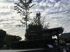-楼观道温泉酒店