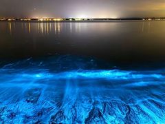 -西涌国际滨海旅游区