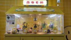 -神奇动物撸宠馆·羊驼·小浣熊·异宠(豫园店)