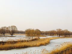 -北京麋鹿生态实验中心