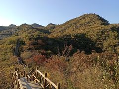 -大岭沟猕猴桃谷风景区