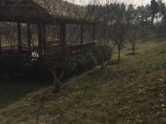 -秀丽东方